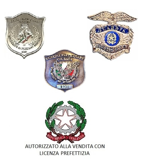Guardie Giurate Security Vigilanza