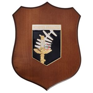 Crest Accademia Aeronautica Militare Italiana Prodotto Ufficiale Giemme Art. AMAA01