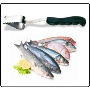 Squama Pesce Professionale Ristoranti Rosticcerie Art.BG4120