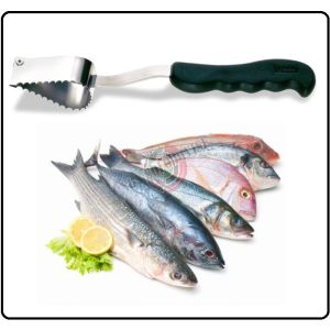 Squama Pesce Professionale Ristoranti Rosticcerie Art.BG4120