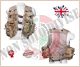 Gilet Tattico Modello ARKTIS Tactical Vest Deserto DPM Usato Originale Inglese Taglia Unica Art.604514