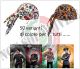 Bandana Sagomata Professionale Ego Chef Italia 50 varianti di Colore Art.7002-
