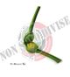 Spremi Agrumi Presse Agrumes Citrus Reamer Spremi Limone Professionale Vin Bouquet  Art. FIK016