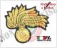 Fregio Fiamma 13 Punte Canottiglia Carabinieri CC 112 Bombato Oro NUOVO MODELLO RIFORMA GRADI Art.FIAMMA-NEW-O