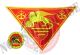 Foulard Sciarpa Triangolo Btg. San Marco Lagunari Marina Militare Italiana Art.NSD-LAG1