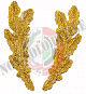 Fronde Ricamate Oro per Ufficili da Berretto Art.95023-Oro