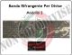 Nastro Rifrangente Reflexite GP 340 g7  Modello 2 Art.SS-GP340-7