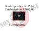 Gradi New Polo Ordine Pubblico più Piccoli cm 3.50x5.00  Carabinieri con Velcro SOTTOTENENTE Art.CC-P13