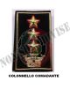 Gradi Tubolari Esercito Italiano Colonnello Comandante  Fondo Nero o Verde Art. NSD-COL-C