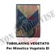 Gradi Tubolarini Vegetati Esercito Italiano Caporale  VFP1 Art. TUB-CVFP1
