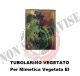 Gradi Tubolarini Vegetati Esercito Italiano Colonello  Art. TUB-COL