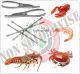 Set Crostacei + Pinza + Forchette Seafood Tools Set, Stainless Steel, Silver, 17 x 19 x 1.7 cm Vin Bouquet Art.FIH259