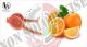 Spremi Agrumi per Arancie Presse Agrumes Citrus Reamer Spremi Limone Professionale Vin Bouquet Art.FIK124