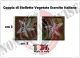 Coppia Stellette Vegetate Militari Esercito Italiano per Vegetata Esercito Aeronautica Art.STELLA-EI